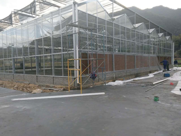 建设中的玻璃温室