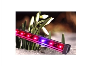 WAN-X18 红蓝比例植物生长灯