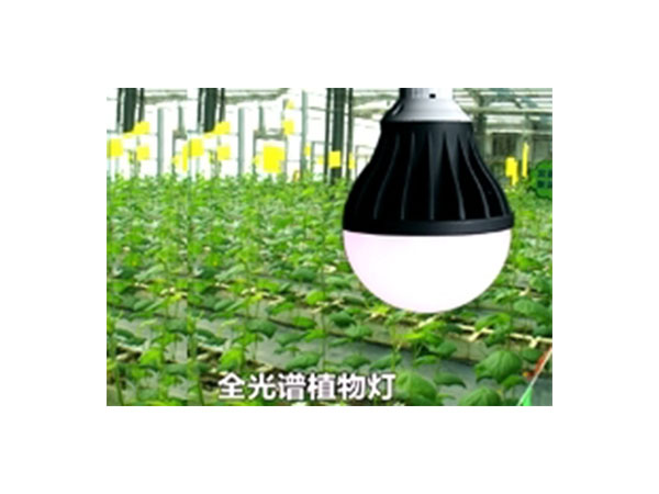 WEN-36 全光谱植物生长灯