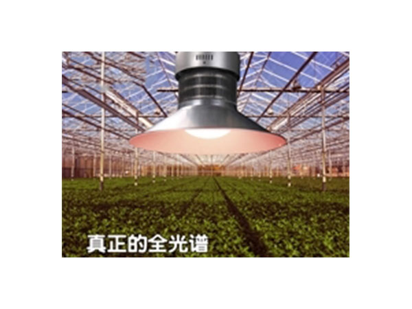 WEN-100 全光谱植物生长灯