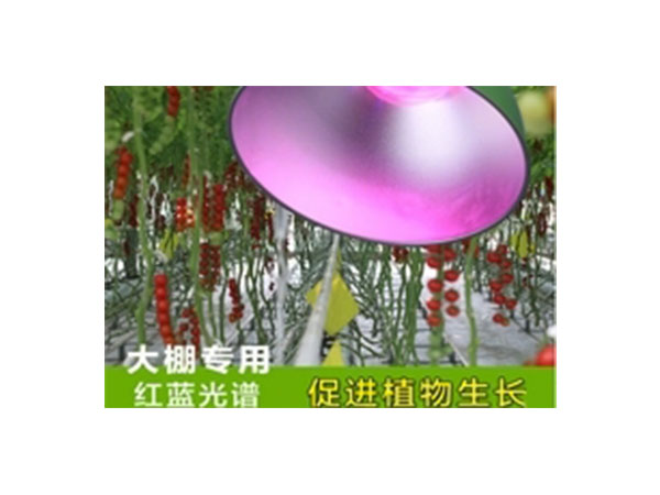 WAN-36 红蓝比例植物生长灯